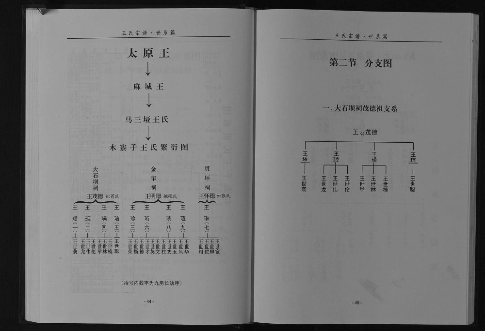 图片[8]-四川巴中平昌县木寨子王氏宗谱电子版PDF下载-中华家谱网