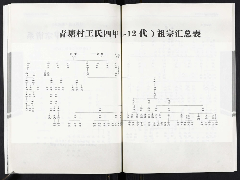 图片[8]-山西吕梁临县青塘王氏宗谱电子版PDF下载-中华家谱网