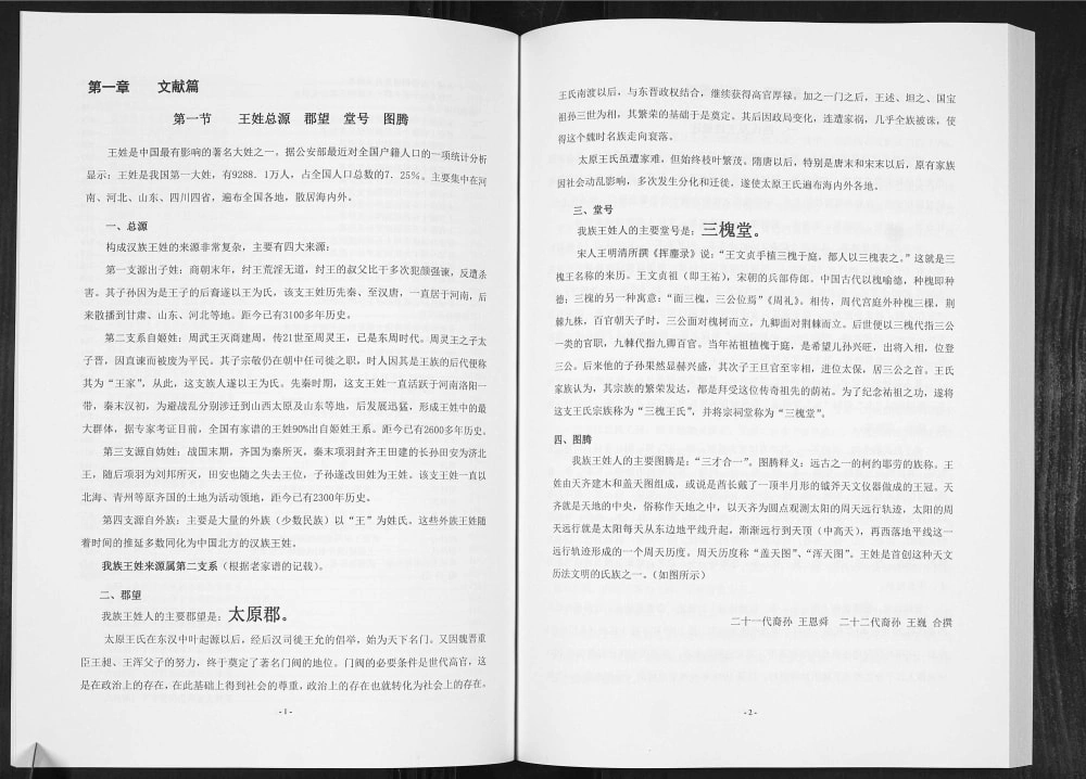 图片[3]-贵州安顺普定县王氏族谱（三槐堂）电子版PDF下载-中华家谱网