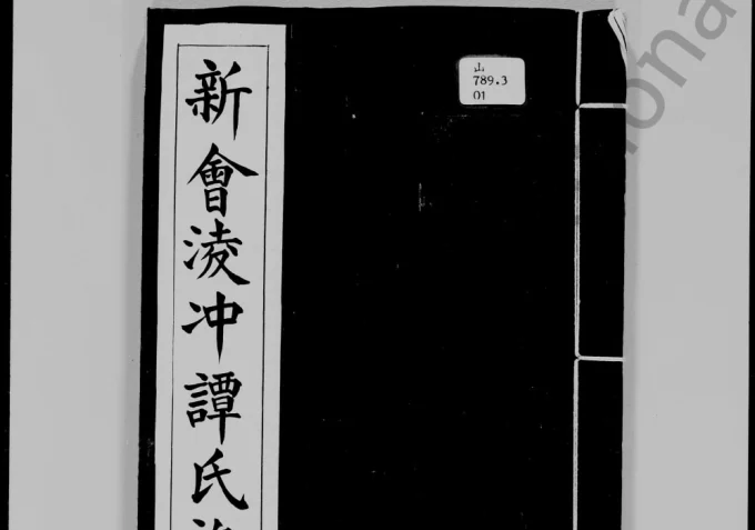 广东江门新会凌冲谭氏族谱电子版PDF下载-中华家谱网