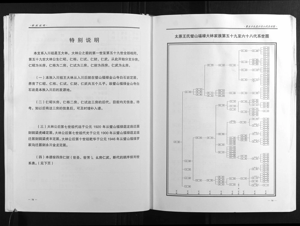 图片[5]-重庆璧山区太原王氏璧山福禄大林家族族谱电子版PDF下载-中华家谱网