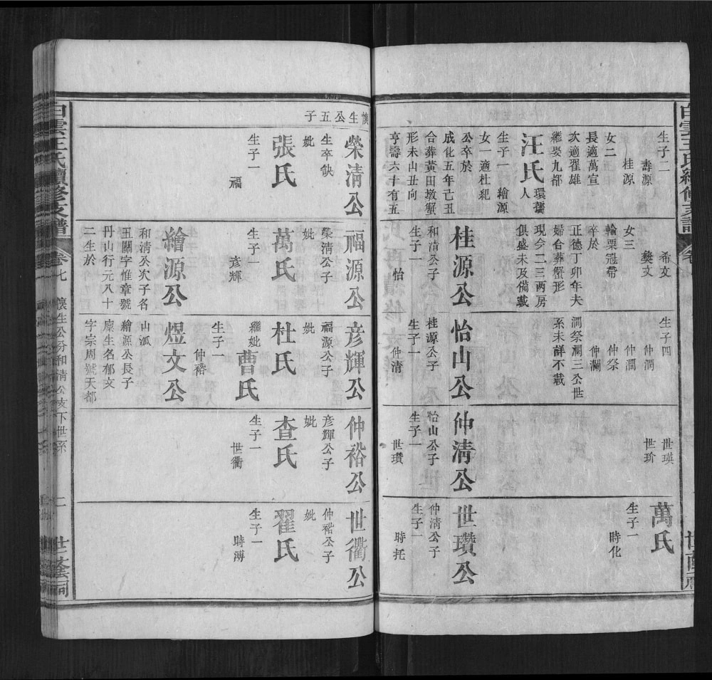 图片[4]-安徽六安霍山县白云王氏续修支谱（世荫祠）电子版PDF下载-中华家谱网