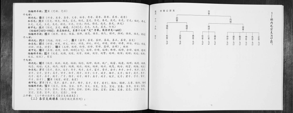 图片[6]-广西南宁武鸣区陆氏家史日开宗系三房族谱电子版PDF下载-中华家谱网