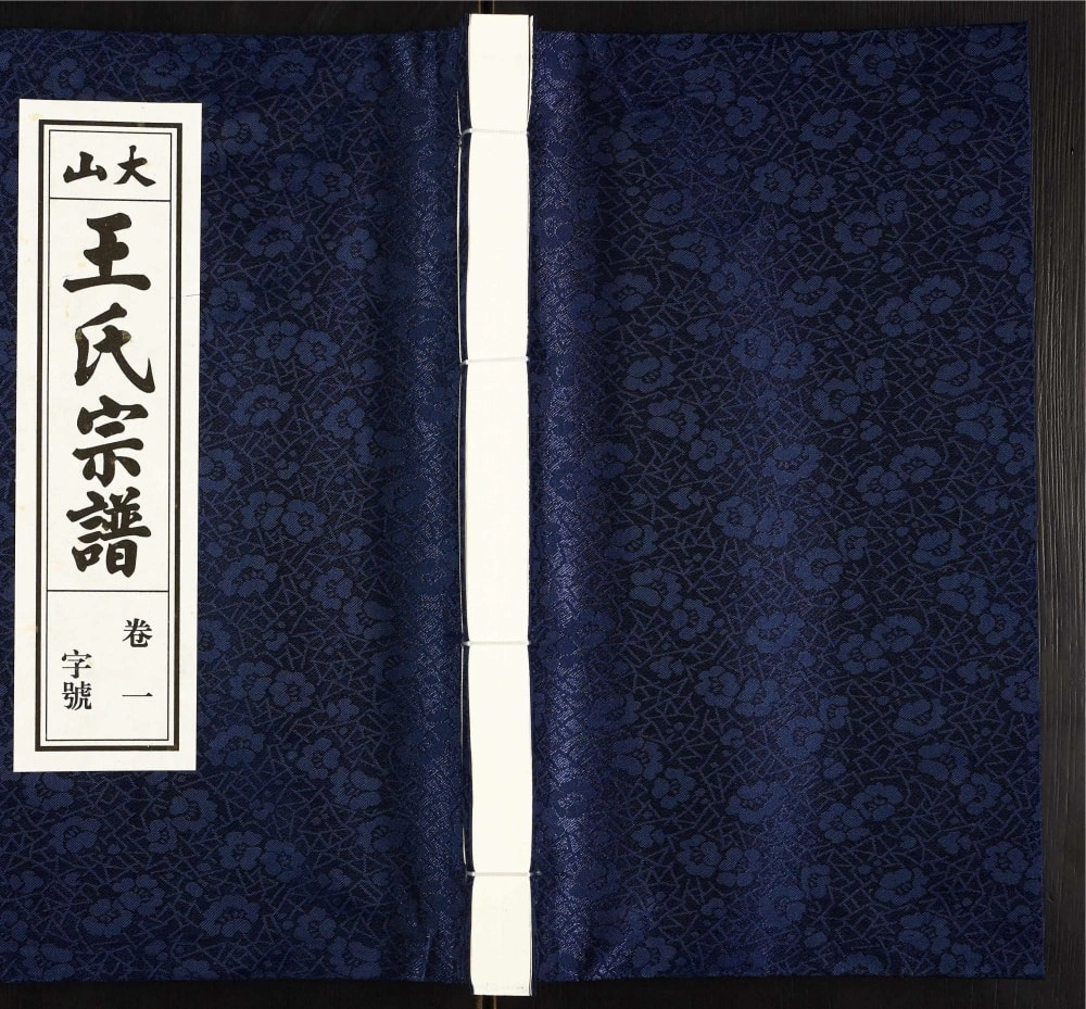 图片[1]-安徽桐城大山王氏宗谱（敦睦堂）电子版PDF下载-中华家谱网