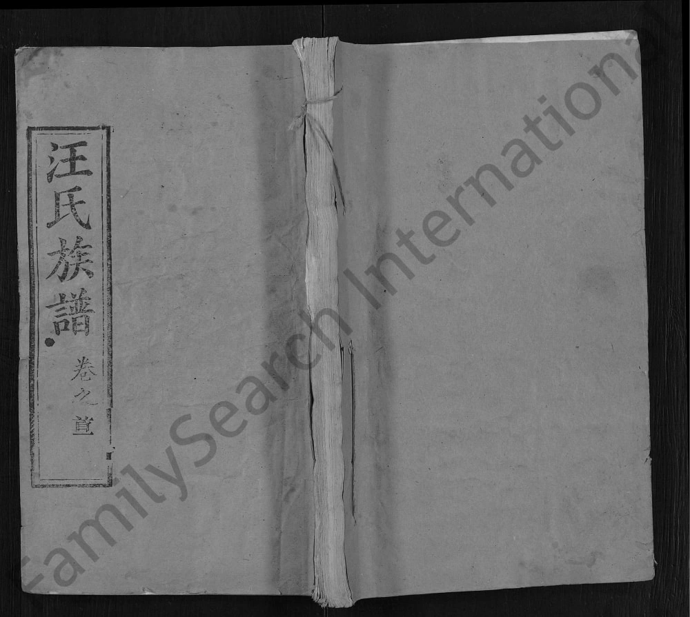 图片[1]-湖北黄冈红安汪氏族谱（平阳堂）电子版PDF下载-中华家谱网