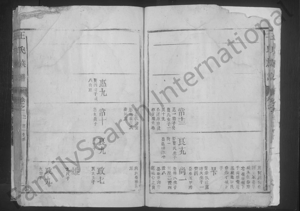 图片[8]-江西九江湖口彭泽王氏族谱电子版PDF下载-中华家谱网
