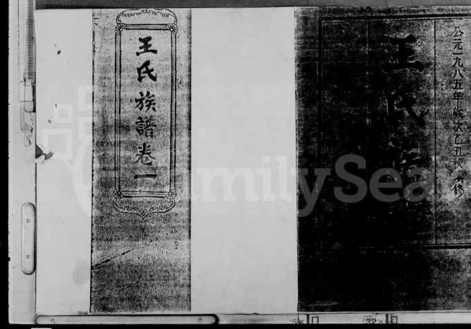 海南琼海王氏族谱(尊三堂)电子版PDF下载-中华家谱网