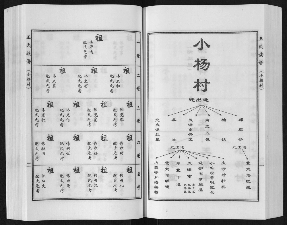 图片[7]-河北沧州盐山县唐家堡王常丰村王氏族谱电子版PDF下载-中华家谱网