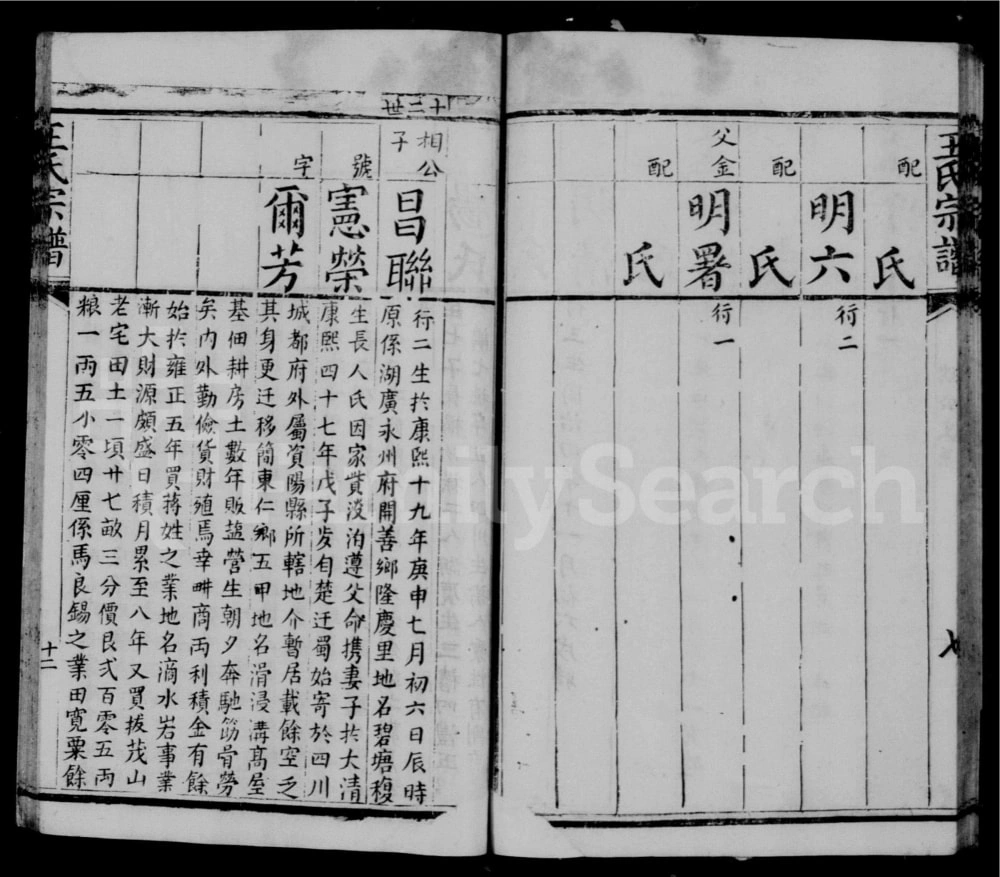 图片[3]-四川简阳王氏宗谱电子版PDF下载-中华家谱网