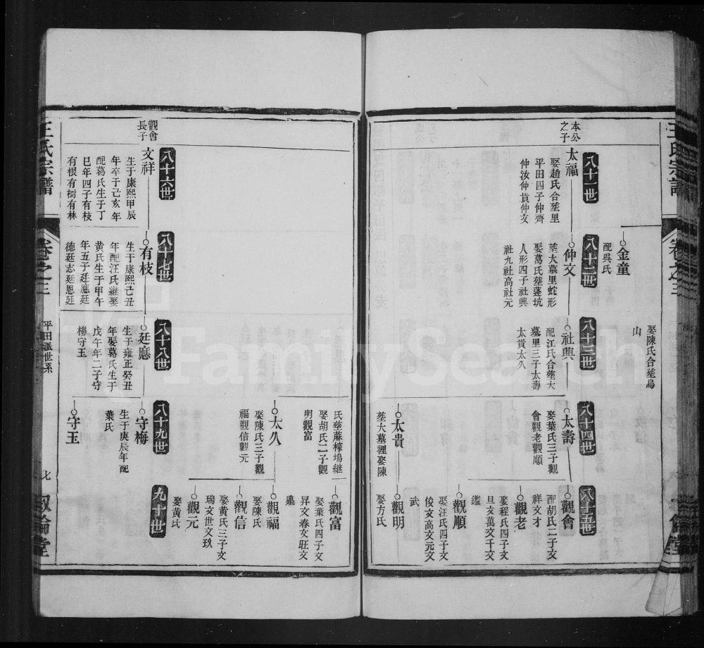 图片[5]-安徽宣城绩溪县杨溪王氏宗谱（叙伦堂）电子版PDF下载-中华家谱网