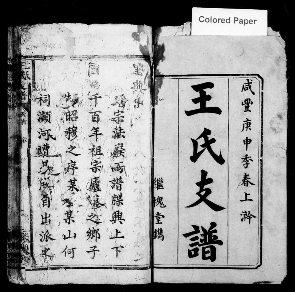 图片[1]-湖南湘乡上湘东塘平王氏支谱（继槐堂）电子版PDF下载-中华家谱网