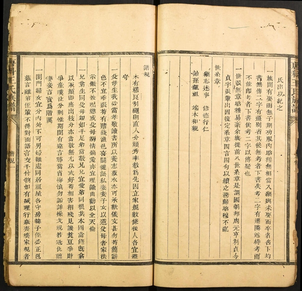 图片[2]-福建南平建阳区唐科王氏族谱电子版PDF下载-中华家谱网