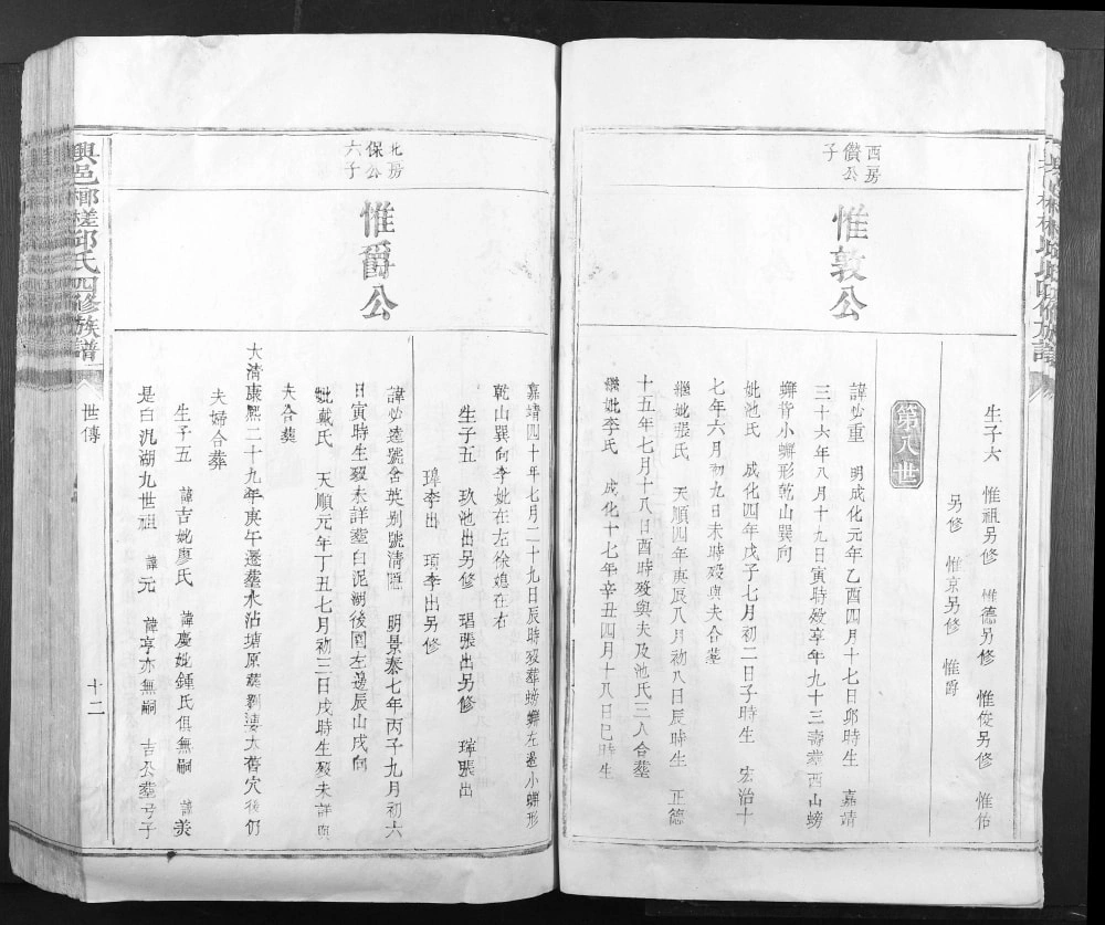 图片[8]-江西赣州兴国兴邑榔槎邱氏四修族谱电子版PDF下载-中华家谱网