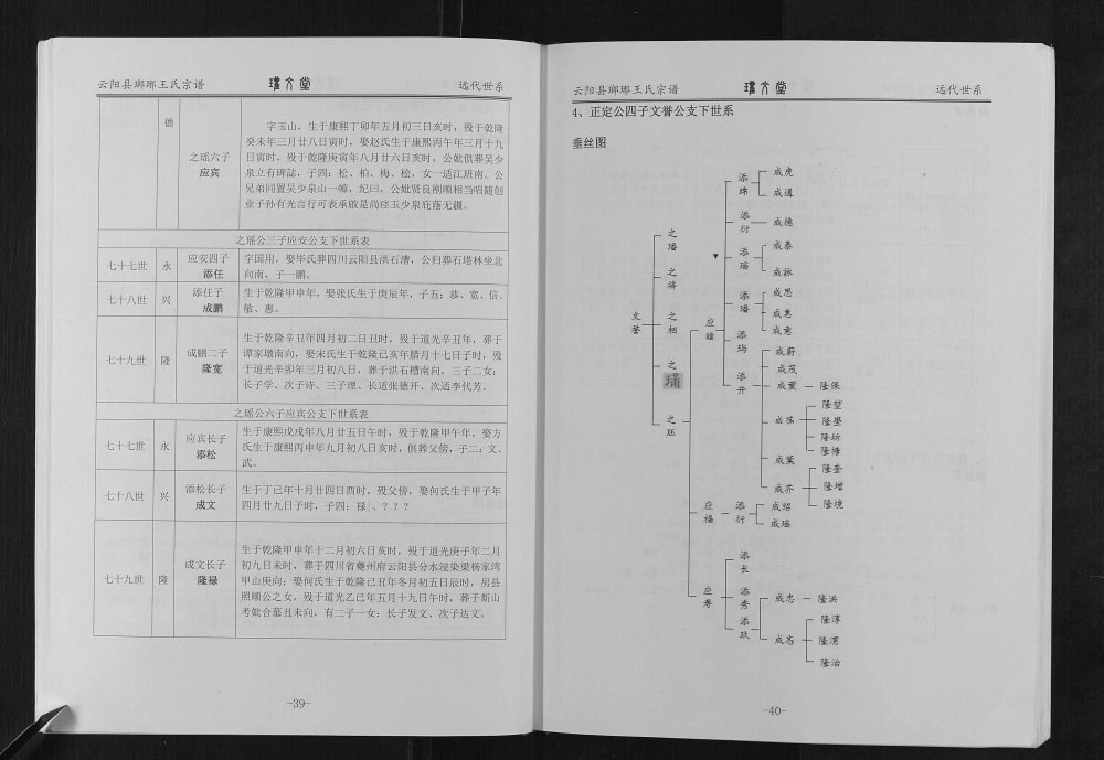 图片[5]-重庆云阳县琅琊王氏宗谱（瓘文堂）电子版PDF下载-中华家谱网
