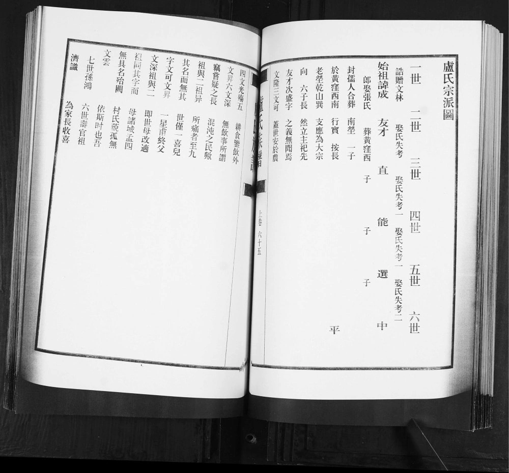 图片[5]-山东青岛即墨卢氏族谱电子版PDF下载-中华家谱网