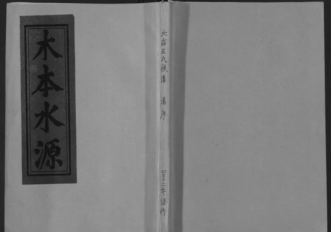 山东日照莒县鲁莒大店王氏族谱电子版PDF下载-中华家谱网