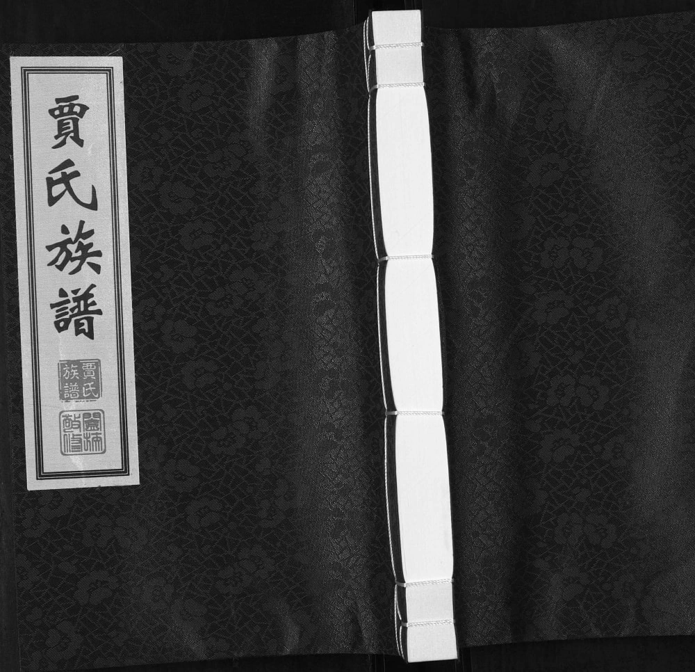 图片[1]-山东青岛城阳区贾氏族谱（同德堂）电子版PDF下载-中华家谱网