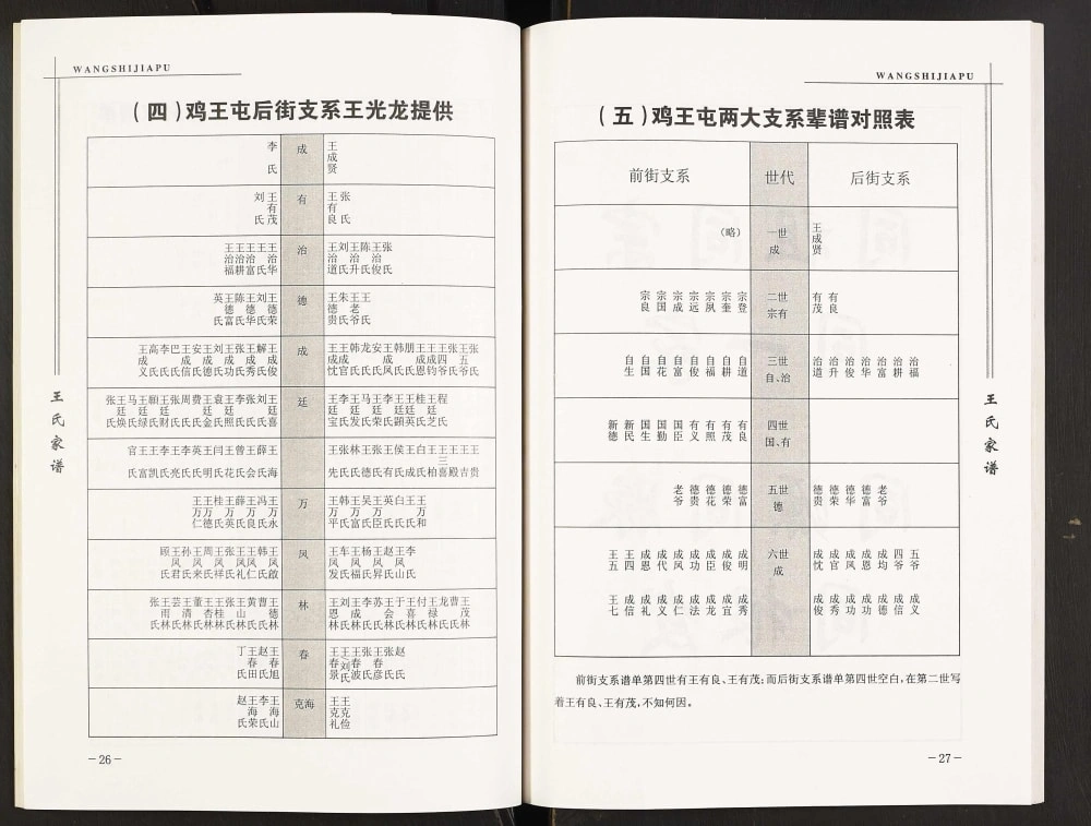 图片[8]-辽宁海城王氏家谱周正堡支系电子版PDF下载-中华家谱网