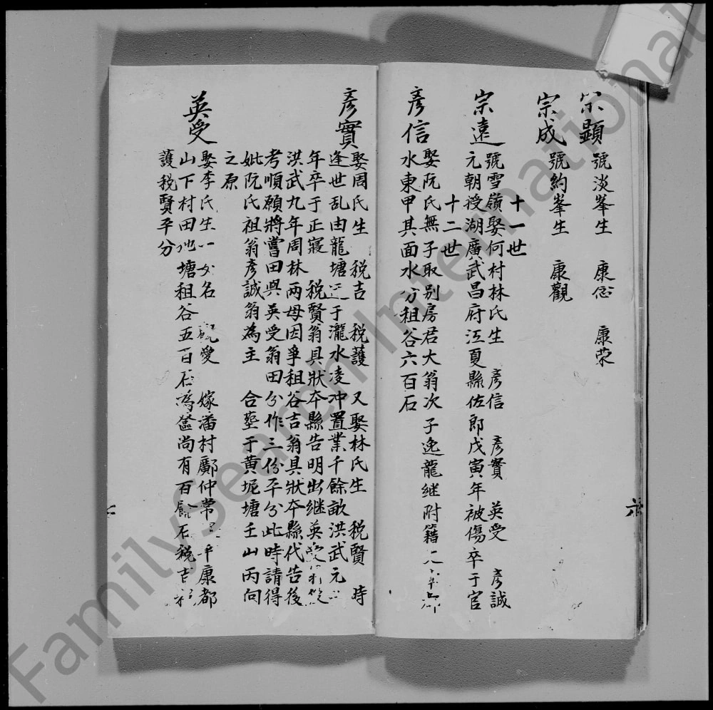 图片[8]-广东江门新会凌冲谭氏族谱电子版PDF下载-中华家谱网