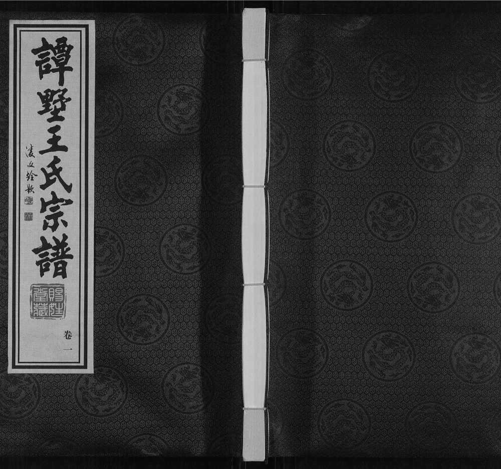 图片[1]-江苏常州武进区谭墅王氏宗谱（赐姓堂）电子版PDF下载-中华家谱网