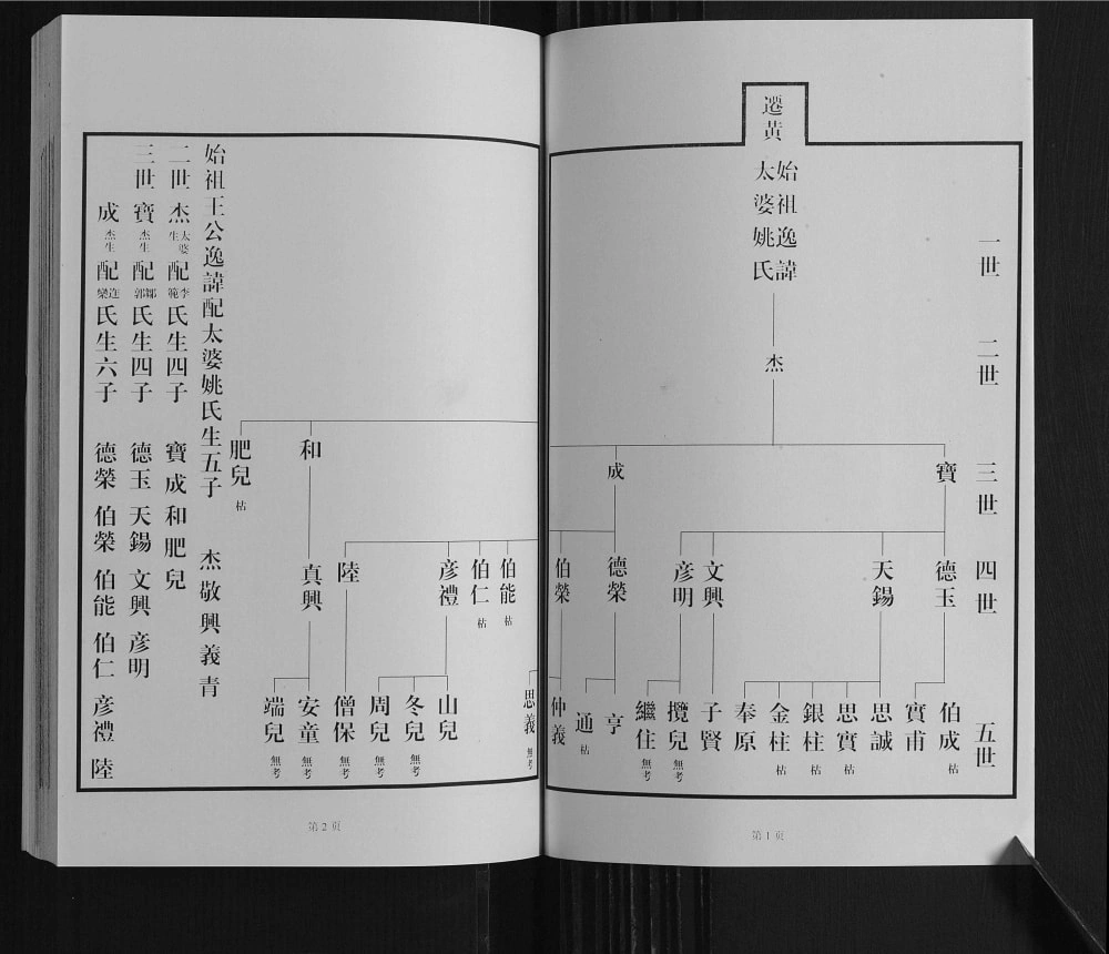 图片[5]-山东龙口黄县琅琊王氏族谱电子版PDF下载-中华家谱网