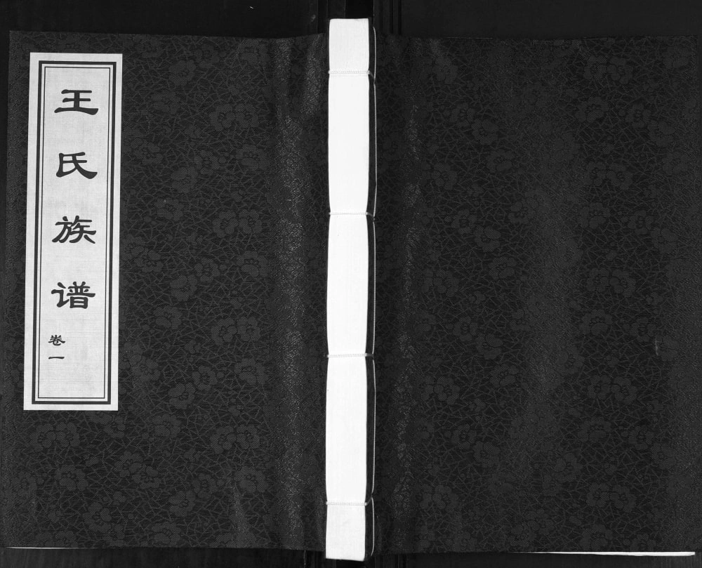 图片[1]-山东青岛城阳区狗塔埠王氏族谱电子版PDF下载-中华家谱网