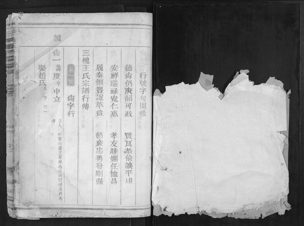 图片[7]-浙江金华三槐王氏宗谱（继述堂）电子版PDF下载-中华家谱网