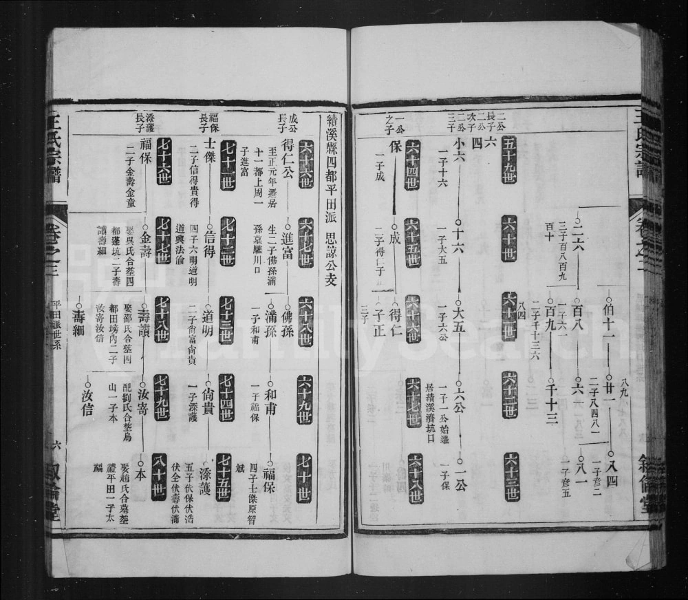 图片[4]-安徽宣城绩溪县杨溪王氏宗谱（叙伦堂）电子版PDF下载-中华家谱网