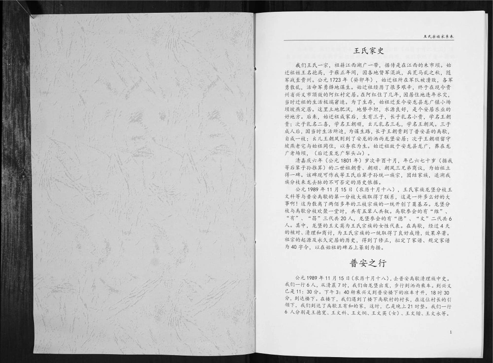 图片[2]-贵州黔西南安龙县王氏家史电子版PDF下载-中华家谱网