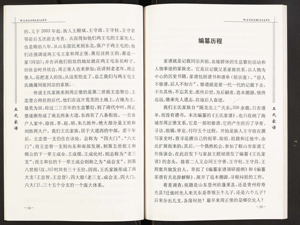 图片[3]-辽宁海城王氏家谱周正堡支系电子版PDF下载-中华家谱网