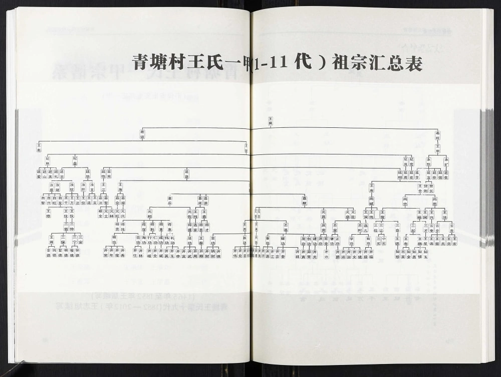 图片[6]-山西吕梁临县青塘王氏宗谱电子版PDF下载-中华家谱网
