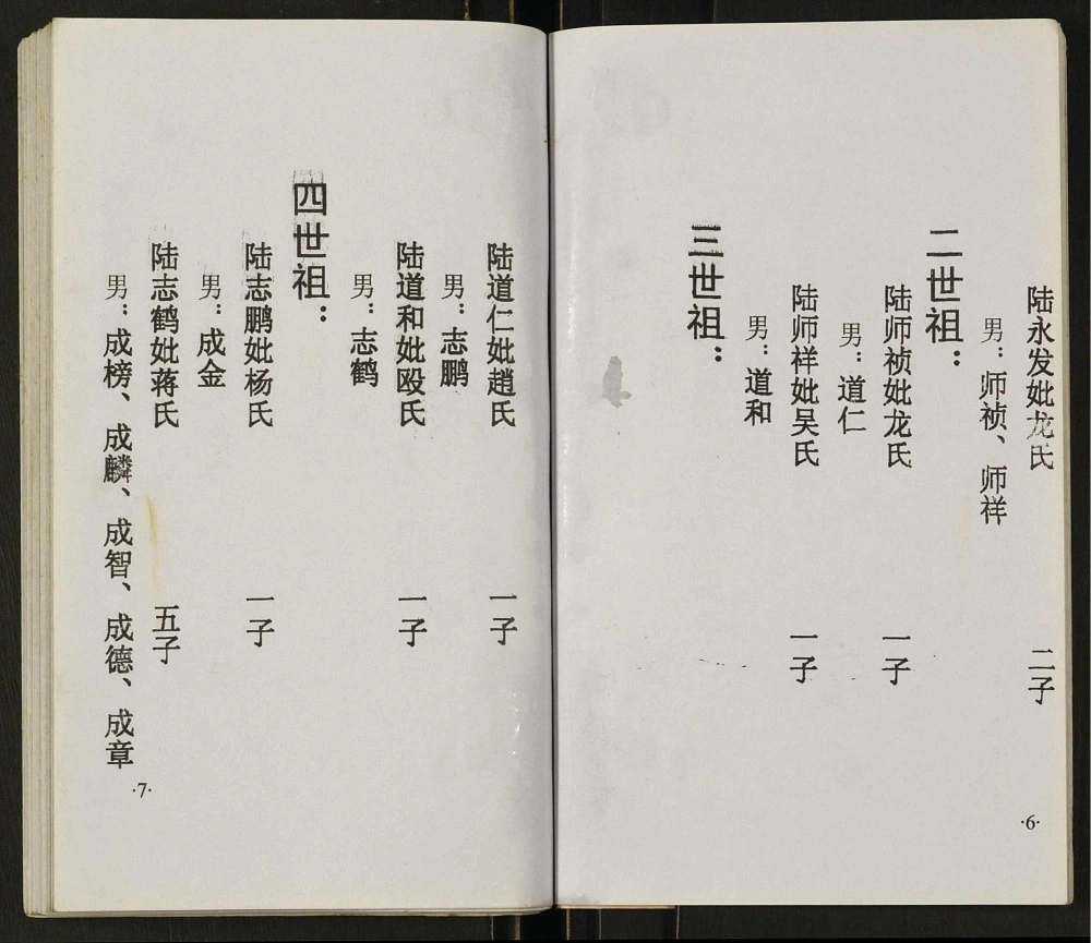 图片[5]-四川达州开江陆氏宗谱电子版PDF下载-中华家谱网