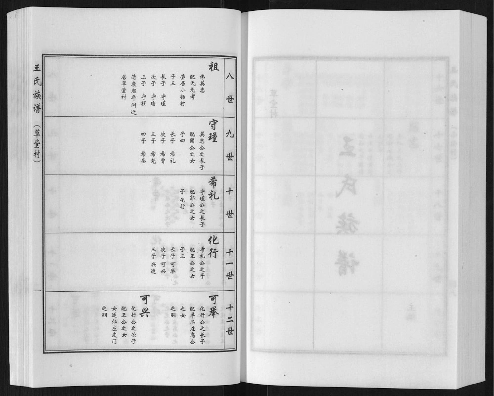 图片[8]-河北沧州盐山县唐家堡王常丰村王氏族谱电子版PDF下载-中华家谱网