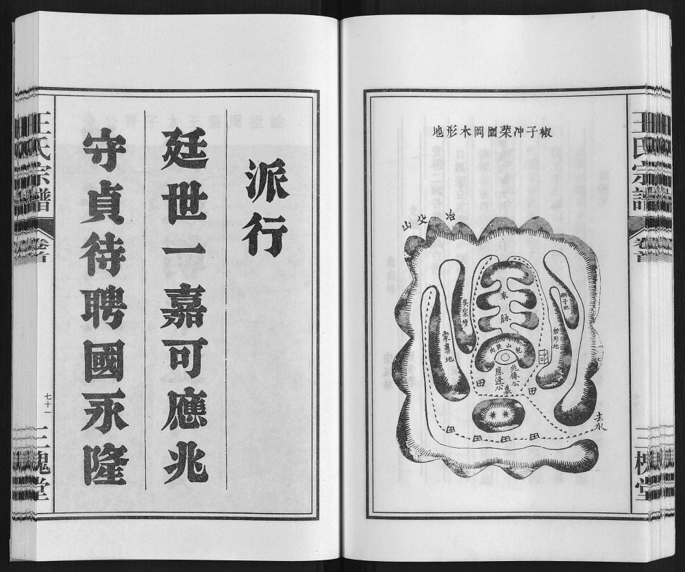 图片[3]-安徽合肥庐江县桃源王氏宗谱（三槐堂）电子版PDF下载-中华家谱网