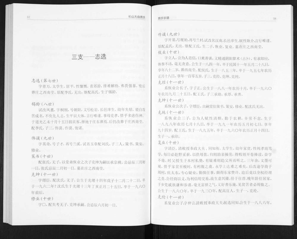 图片[6]-山东邹平贾氏宗谱电子版PDF下载-中华家谱网