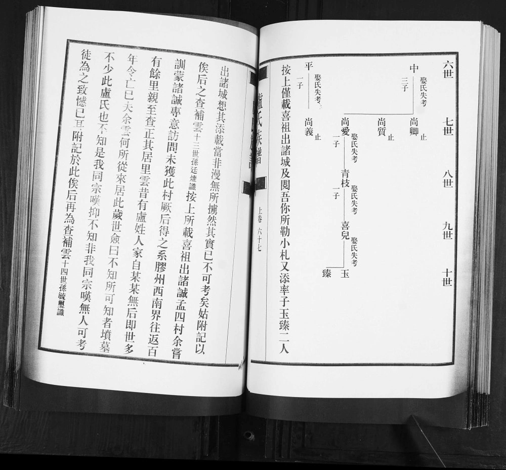图片[7]-山东青岛即墨卢氏族谱电子版PDF下载-中华家谱网