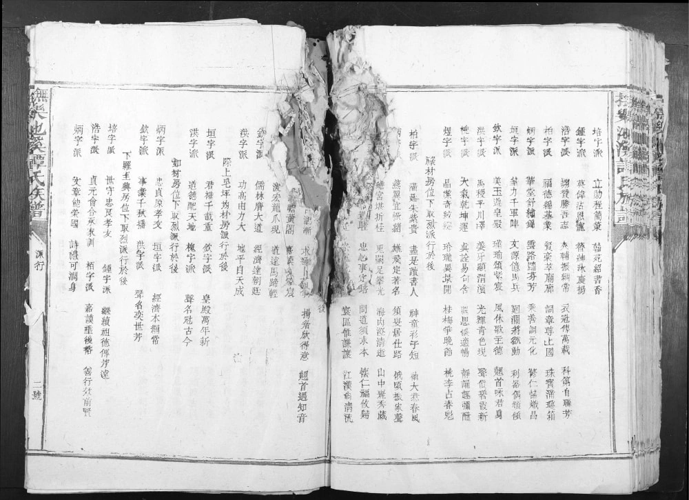 图片[3]-江西抚州乐安县抚乐池溪谭氏族谱电子版PDF下载-中华家谱网