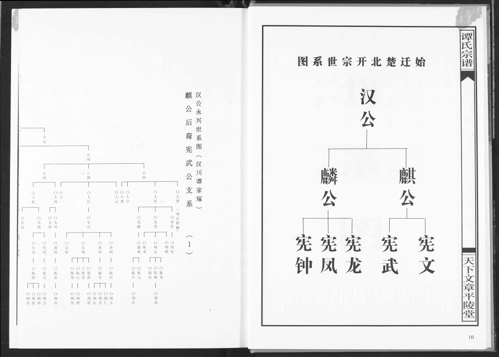 图片[7]-湖北谭氏族谱（天下文章堂）电子版PDF下载-中华家谱网