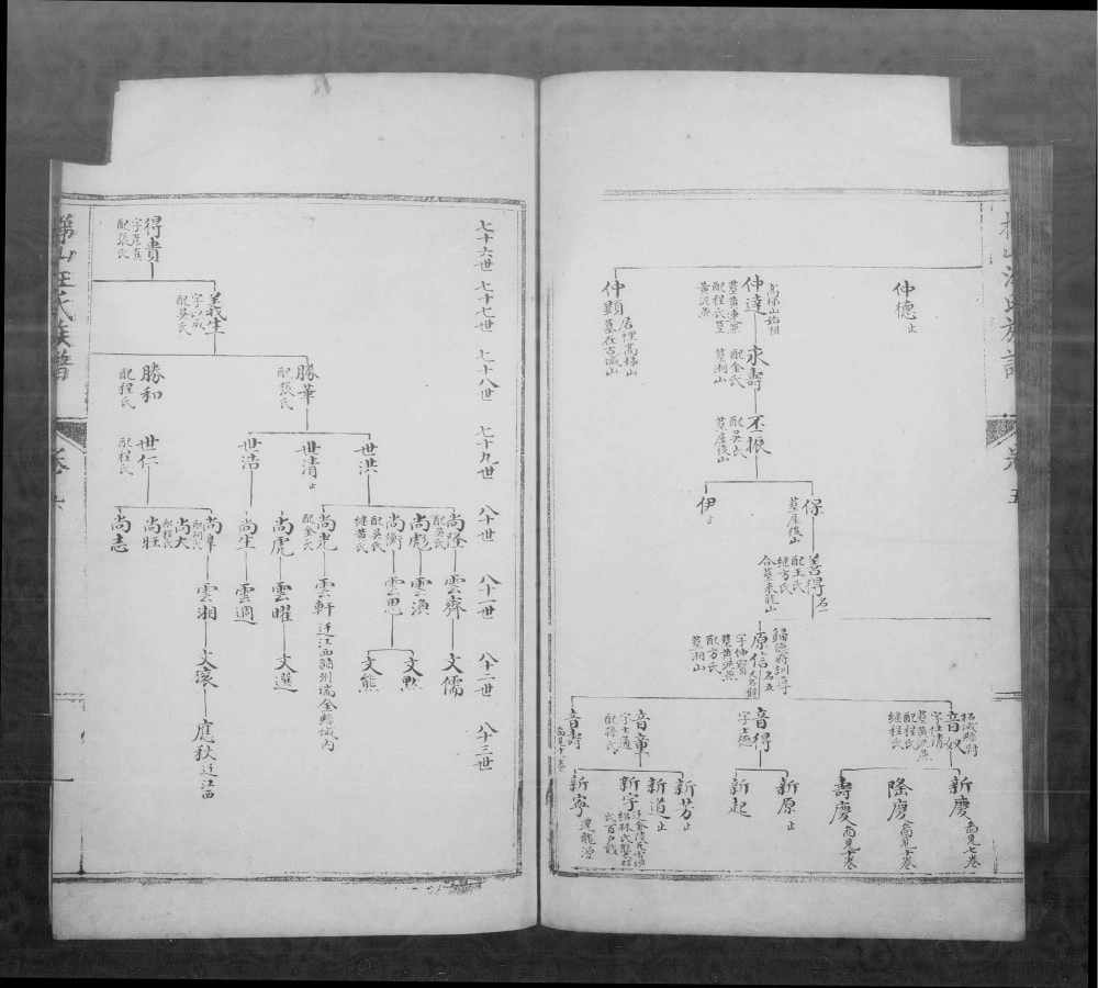 图片[5]-安徽黄山休宁梯山汪氏族谱电子版PDF下载-中华家谱网