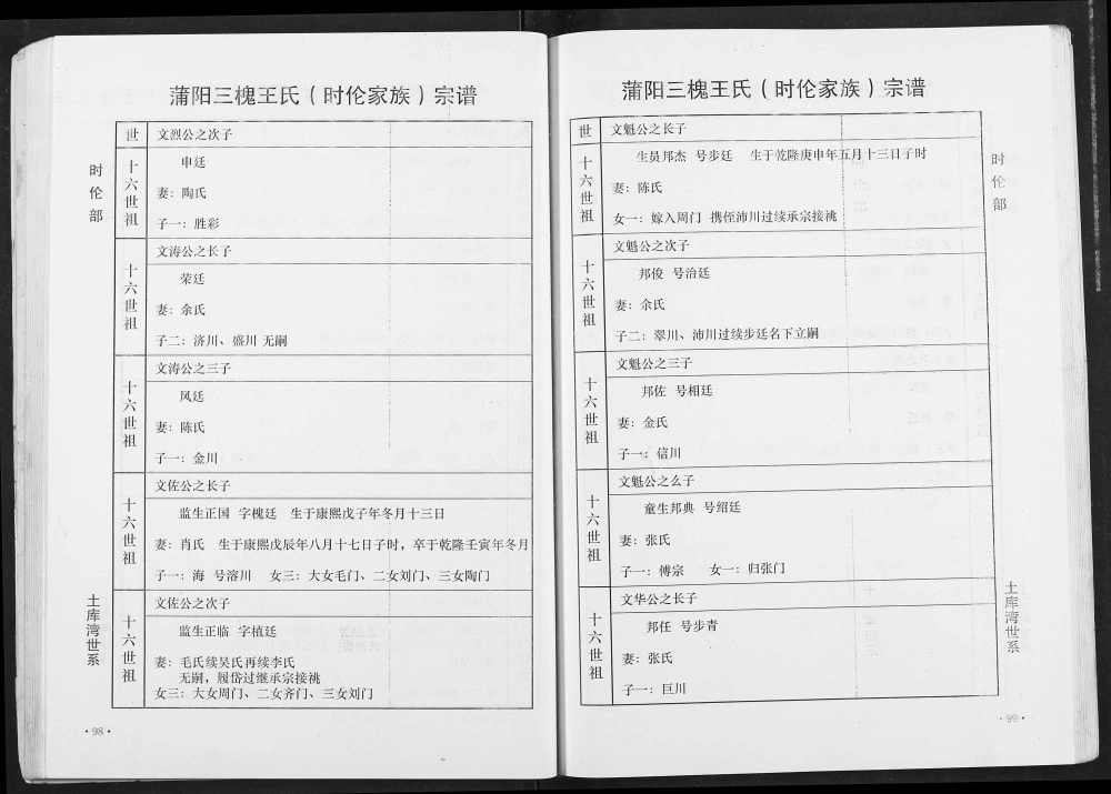 图片[8]-湖北应城蒲阳三槐王氏时伦家族王氏宗谱（三槐堂）电子版PDF下载-中华家谱网