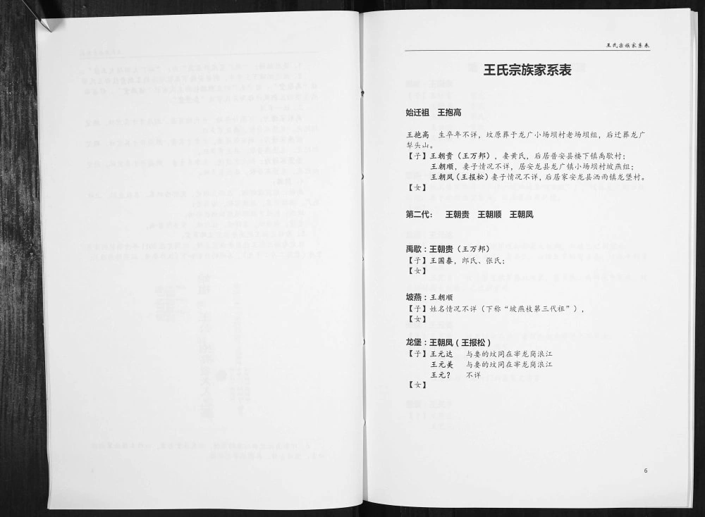 图片[4]-贵州黔西南安龙县王氏家史电子版PDF下载-中华家谱网