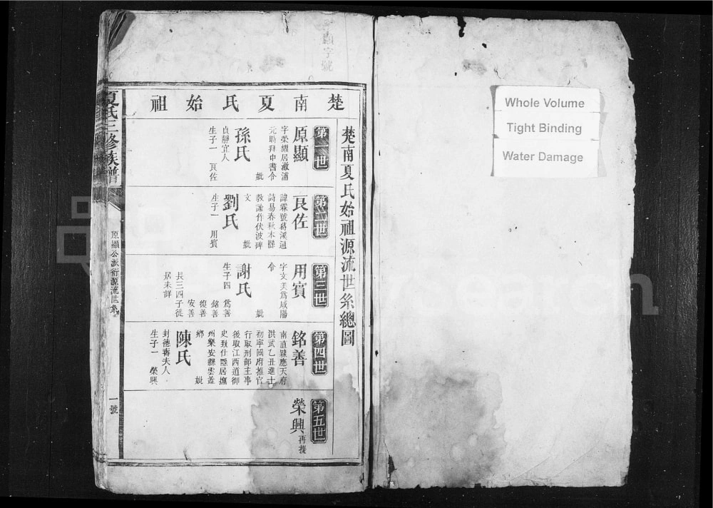 图片[4]-湖南娄底新化夏氏三修族谱（明德堂）电子版PDF下载-中华家谱网