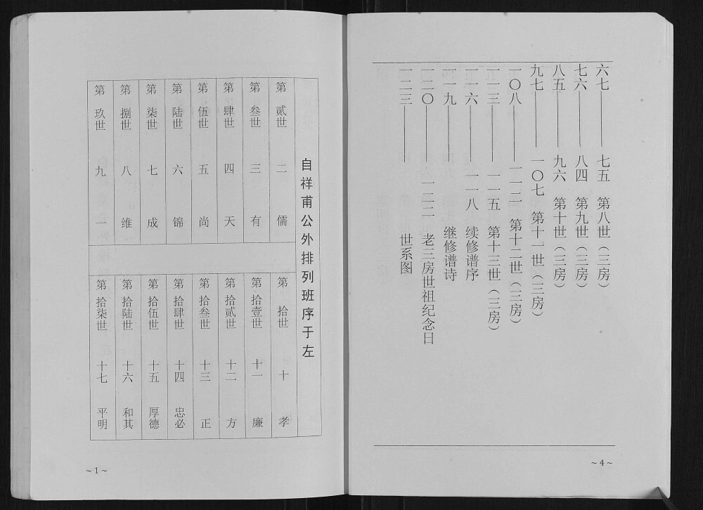 图片[4]-江苏盐城阜宁王氏家谱（三槐堂）电子版PDF下载-中华家谱网
