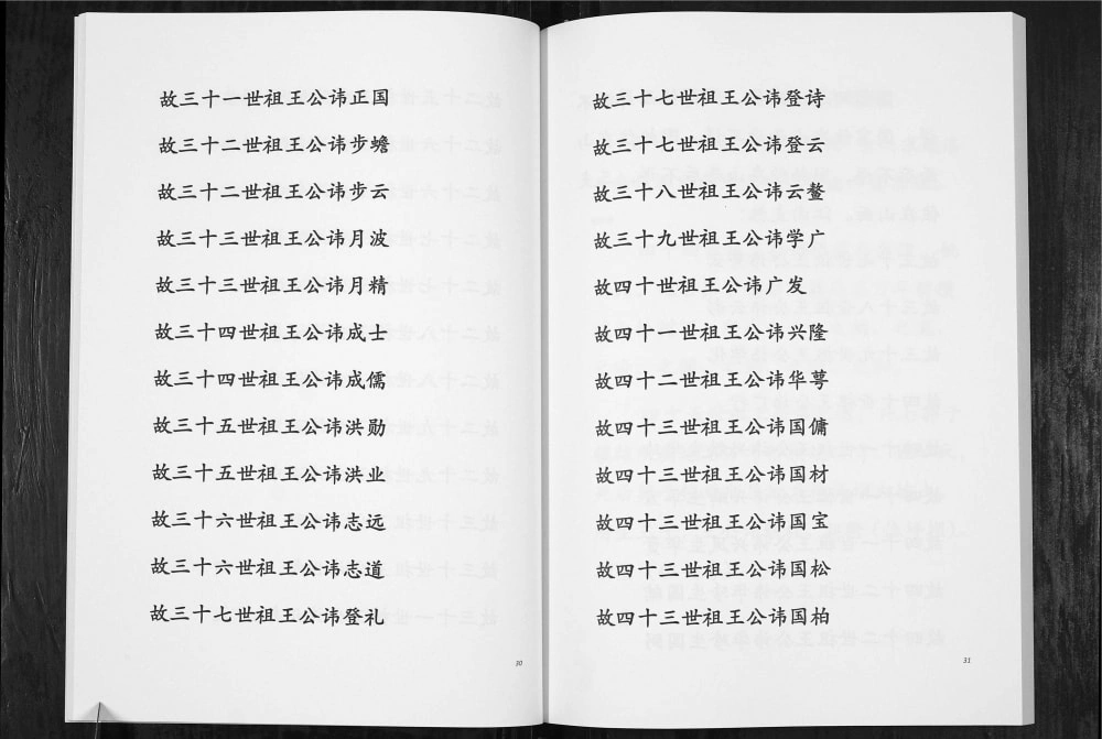 图片[5]-贵州毕节云南镇雄王氏族谱电子版PDF下载-中华家谱网