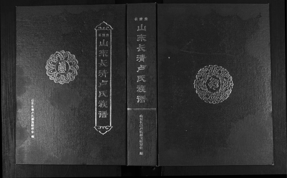 图片[1]-山东济南长清卢氏族谱（长清堂）电子版PDF下载-中华家谱网