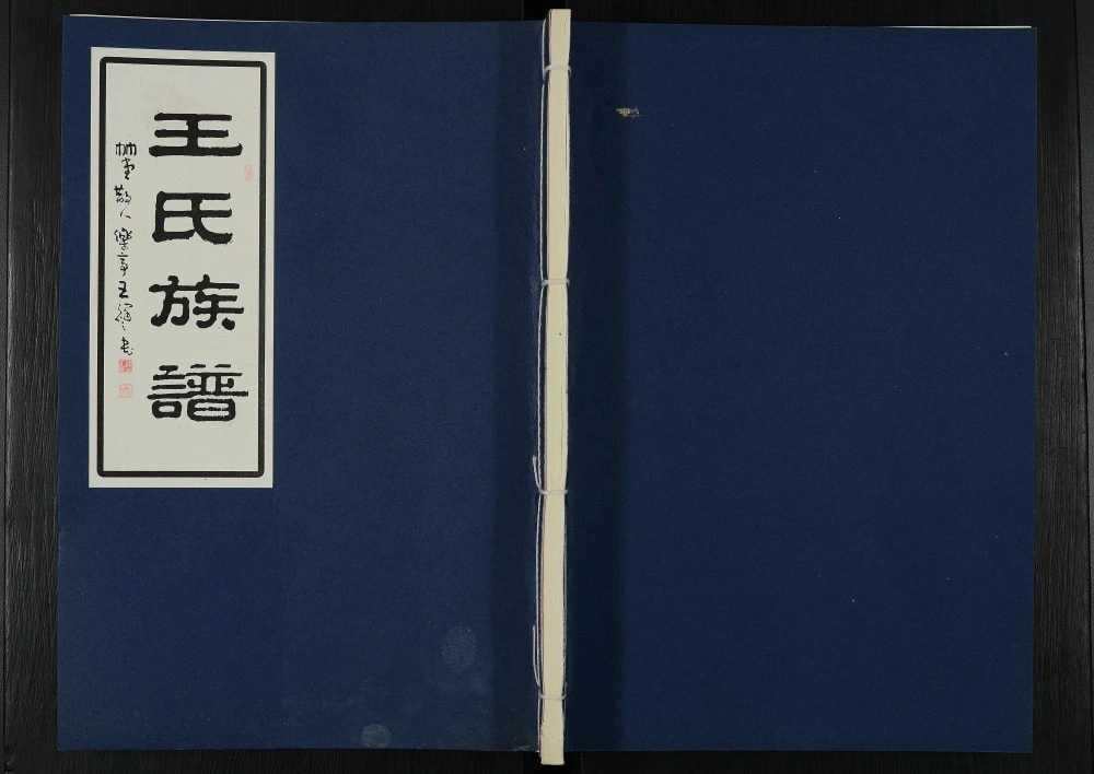 图片[1]-江苏泰兴王氏族谱电子版PDF下载-中华家谱网