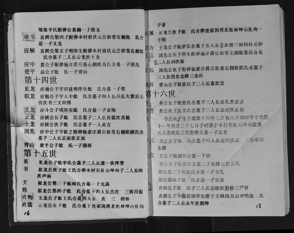 图片[8]-安徽淮南廖氏宗谱电子版PDF下载-中华家谱网
