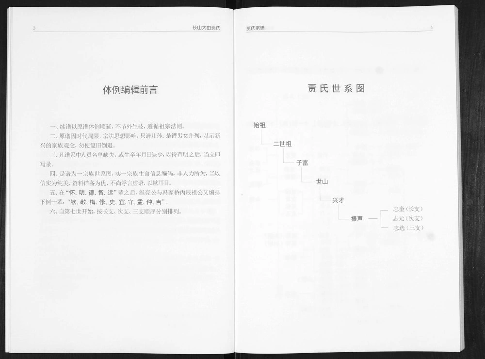 图片[3]-山东邹平贾氏宗谱电子版PDF下载-中华家谱网