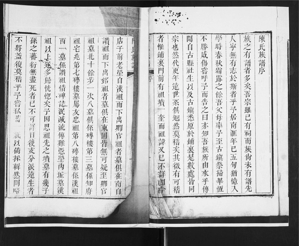 图片[2]-山东青岛城阳区陈氏族谱（时思堂）电子版PDF下载-中华家谱网