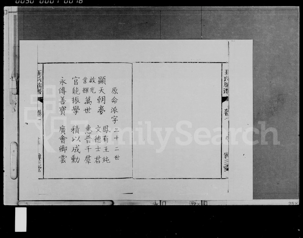图片[4]-海南琼海王氏族谱（尊三堂）电子版PDF下载-中华家谱网